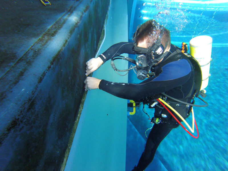 underwater leak detection & prevention
